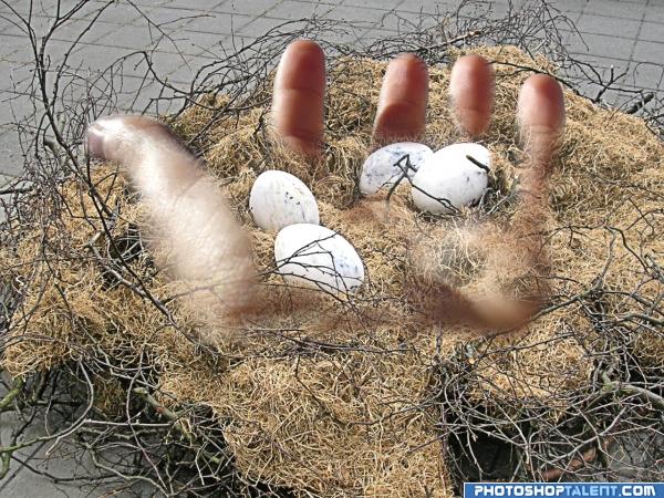Creation of Handsfull of eggs: Final Result